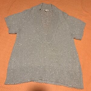 Coldwater Creek Gray Sequin Short Sleeve Sweater Sz 2X